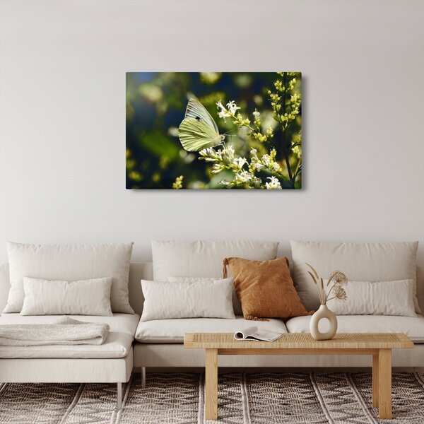 Obraz motýľa (90x60 cm)