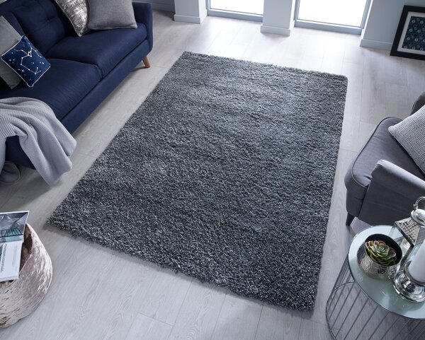 Flair Rugs , DOPREDAJ: 60x110 cm Kusový koberec Brilliance Sparks Anthracite, 60x110, šedá, obývacia izba