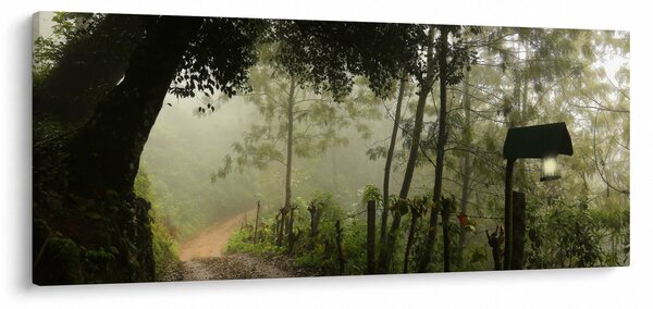 Obraz rannej hmly (120x50 cm)