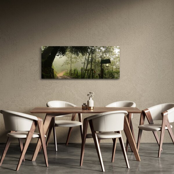Obraz rannej hmly (120x50 cm)