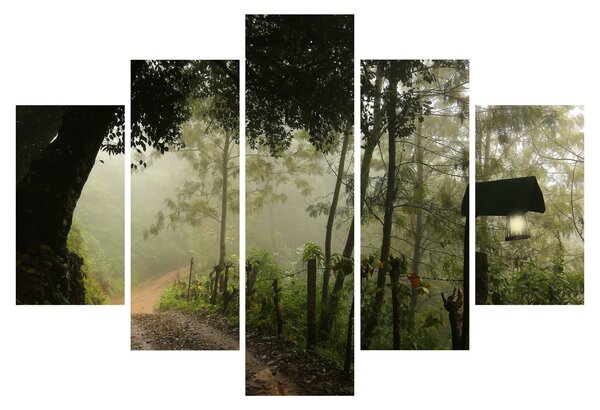 Obraz rannej hmly (150x105 cm)