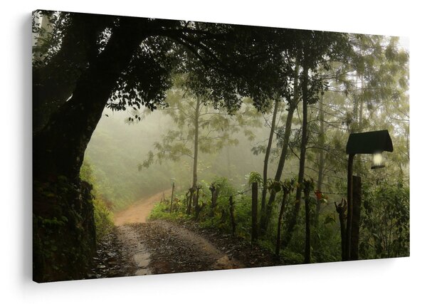 Obraz rannej hmly (90x60 cm)
