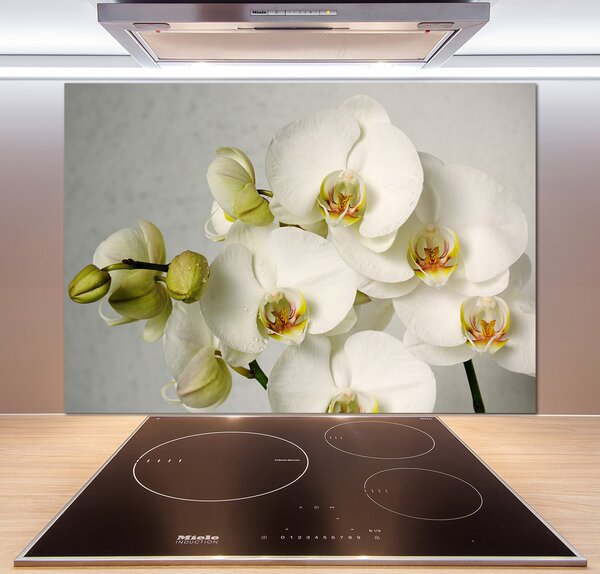 Panel do kuchyne Biela orchidea pl-pksh-100x70-f-67521473