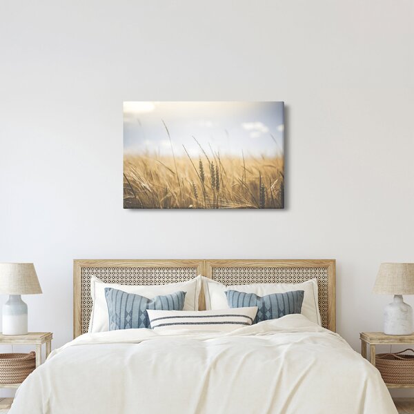 Obraz obilia (90x60 cm)