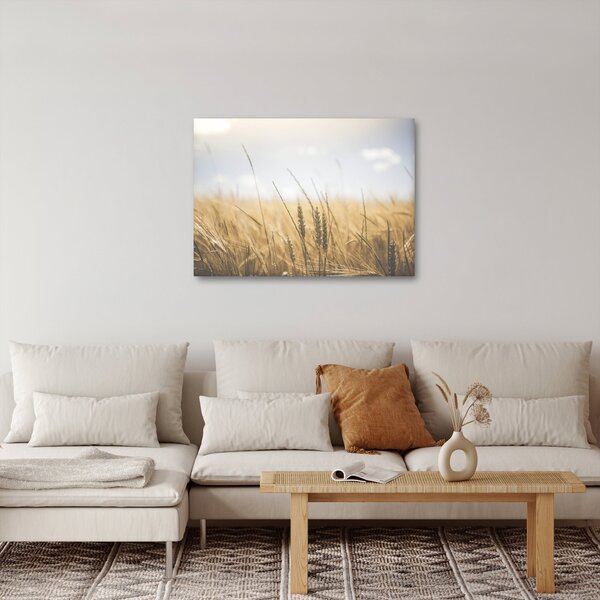 Obraz obilia (70x50 cm)