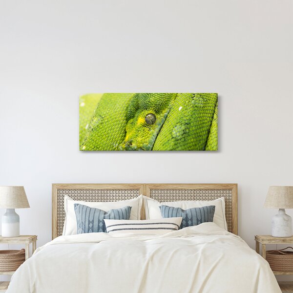 Obraz hada (120x50 cm)