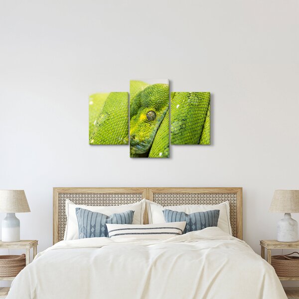 Obraz hada (90x60 cm)