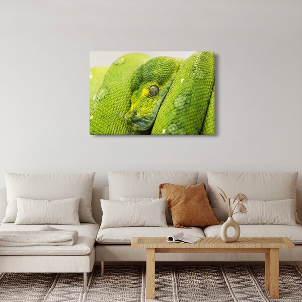 Obraz hada (90x60 cm)