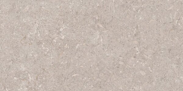 Atempo Greige 60x120 R
