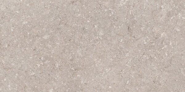 Atempo Greige 60x120 R