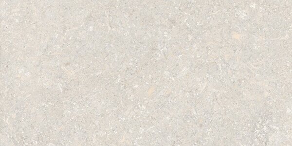 Atempo Ivory 60x120 R