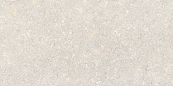 Atempo Ivory 60x120 R