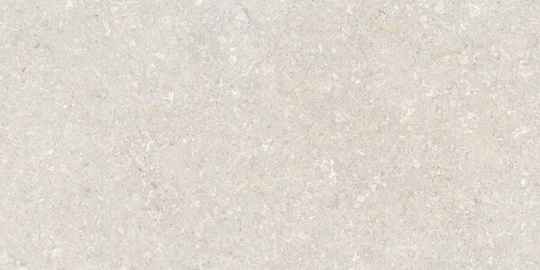 Atempo Ivory 60x120 R