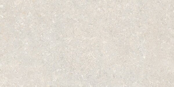 Atempo Ivory 60x120 R