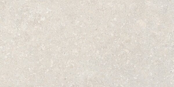 Atempo Ivory 60x120 R