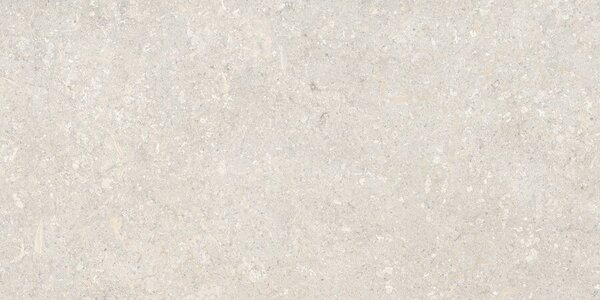 Atempo Ivory 60x120 R