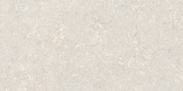 Atempo Ivory 60x120 R