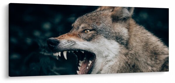 Obraz vlka (120x50 cm)
