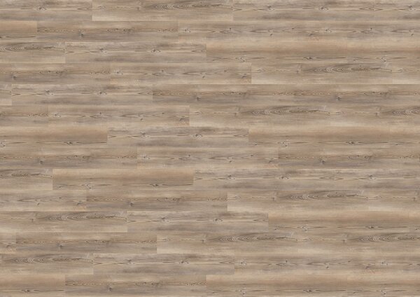 WINEO 400 wood L Coast pine taupe MLD284WL - 2 m2