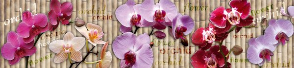DIMEX | Fototapeta do kuchyne Orchidea KI-260-026 | 260 x 60 cm | fialová, béžová, ružová