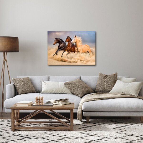 Obraz - Divé kone (70x50 cm)