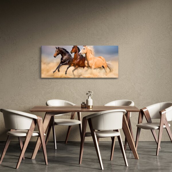 Obraz - Divé kone (120x50 cm)