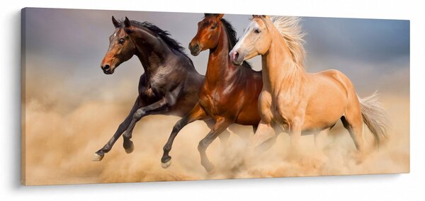 Obraz - Divé kone (120x50 cm)
