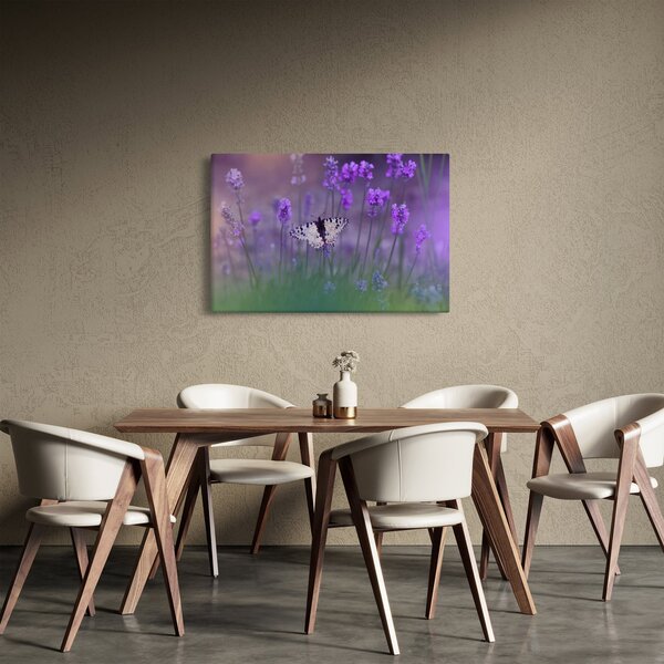 Obraz - Motýľ v levanduli (90x60 cm)