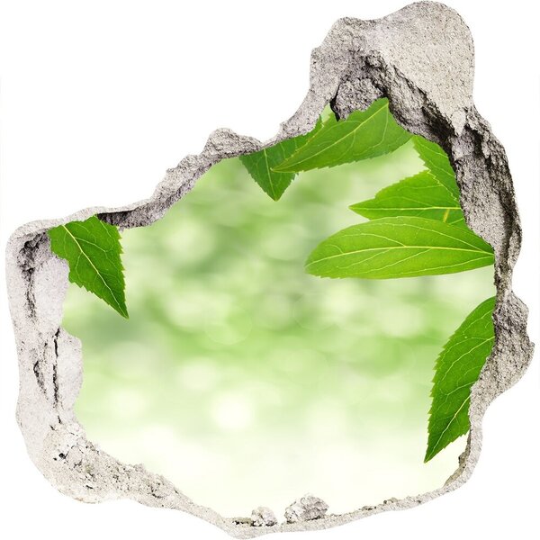 Diera 3D fototapety nálepka Zelené listy nd-p-51811576