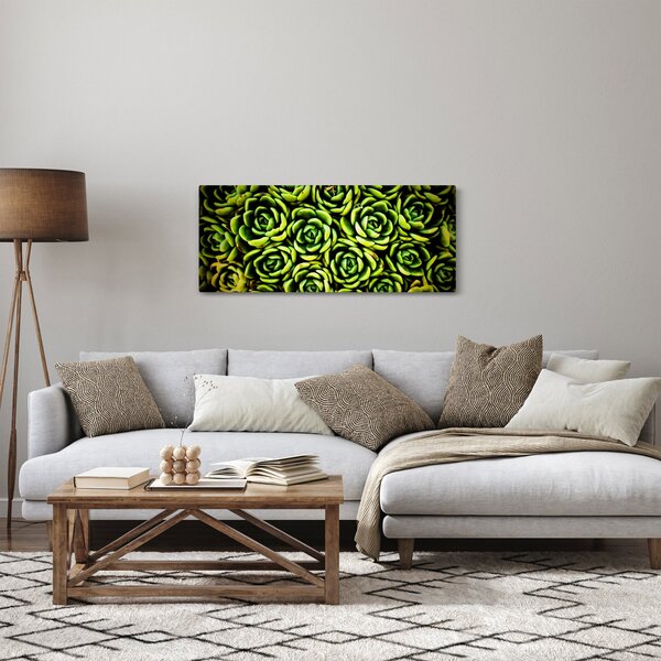 Obraz skalníc (120x50 cm)