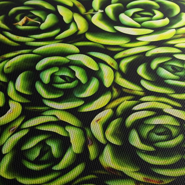 Obraz skalníc (90x60 cm)