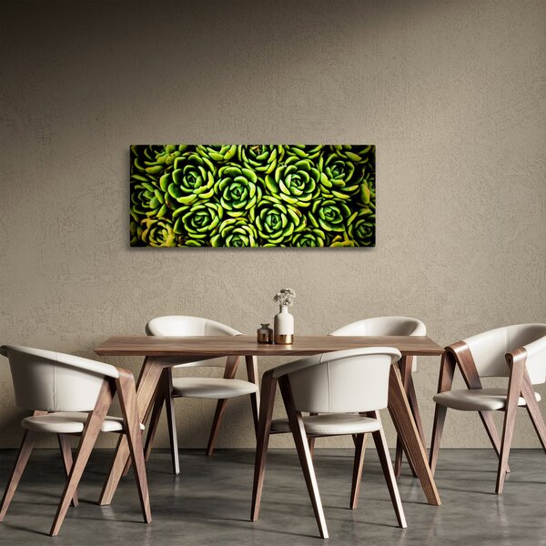 Obraz skalníc (120x50 cm)