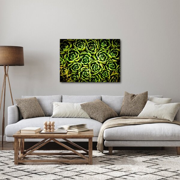 Obraz skalníc (70x50 cm)