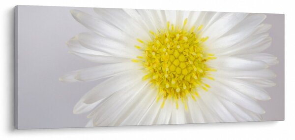 Obraz - Margarita (120x50 cm)