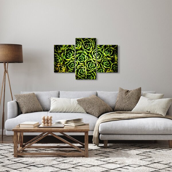 Obraz skalníc (90x60 cm)