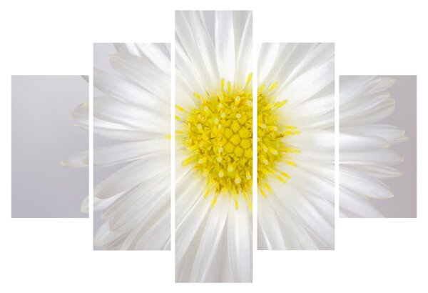 Obraz - Margarita (150x105 cm)