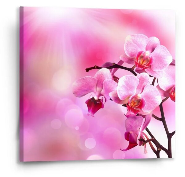 Sablio Obraz Kvety orchidey - 50x50 cm