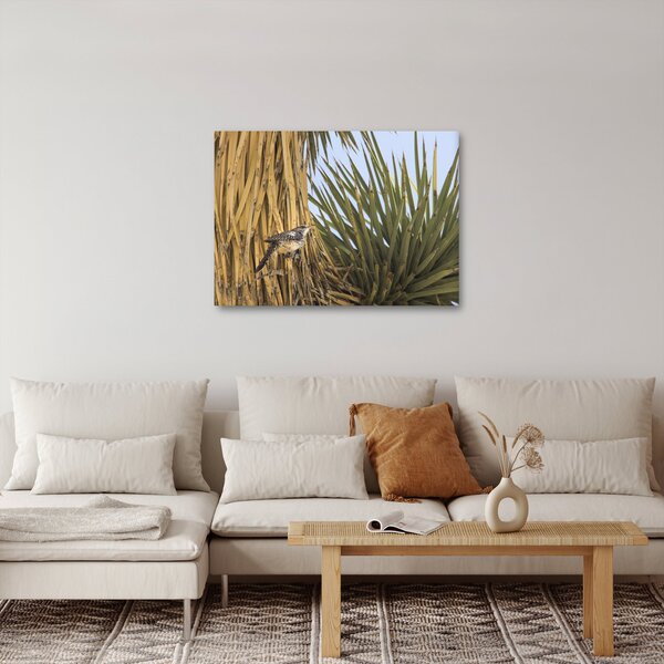 Obraz - Oriešok (70x50 cm)
