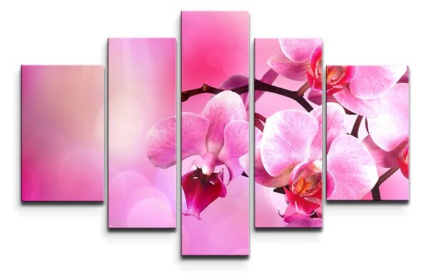 Sablio Obraz - 5-dílný Květy Orchidey - 125x90 cm