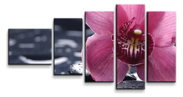 Sablio Obraz - 5-dílný Orchidea - 100x60 cm