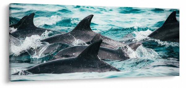 Obraz - Delfíny v oceáne (120x50 cm)
