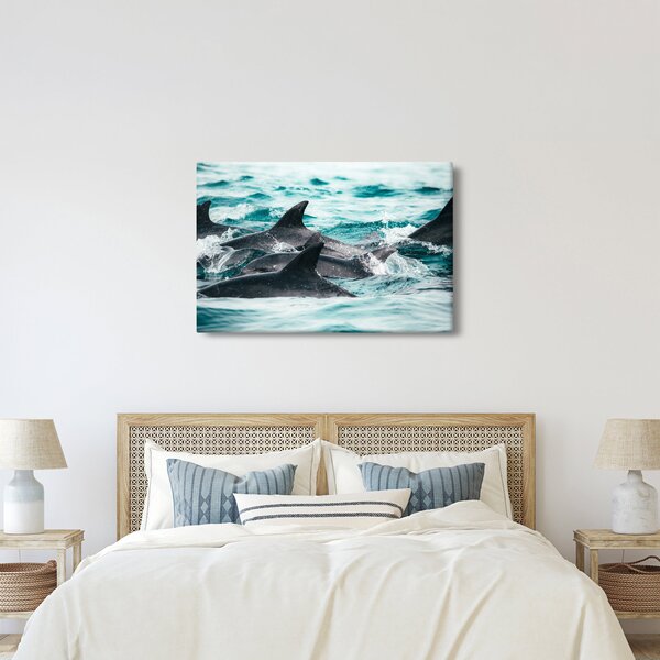 Obraz - Delfíny v oceáne (90x60 cm)