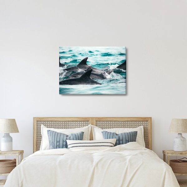 Obraz - Delfíny v oceáne (70x50 cm)