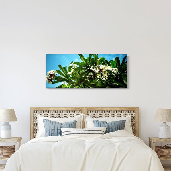 Obraz - Plumeria (120x50 cm)