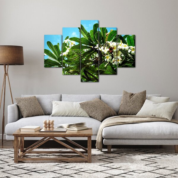 Obraz - Plumeria (150x105 cm)