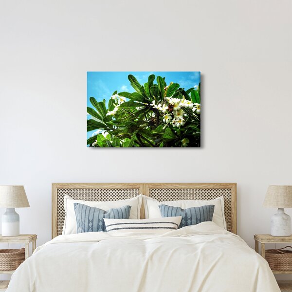 Obraz - Plumeria (90x60 cm)
