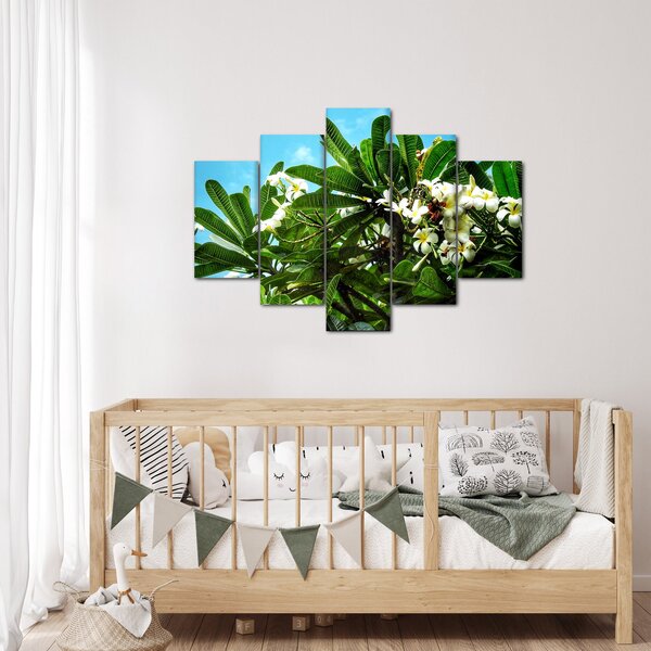 Obraz - Plumeria (150x105 cm)