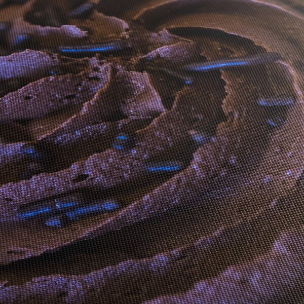 Obraz - Čokoládový Cupcake (90x60 cm)