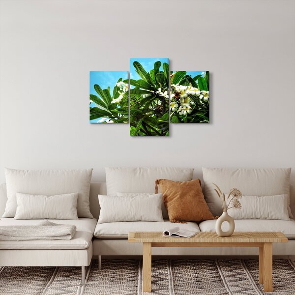 Obraz - Plumeria (90x60 cm)