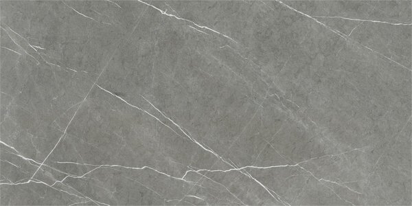 Eternal Dark Pulido 60x120 R